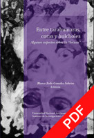 Entre tarahumaras, coras y huicholes: algunos aspectos sobre la locura / Blanca Zoila González Sobrino (editora) 